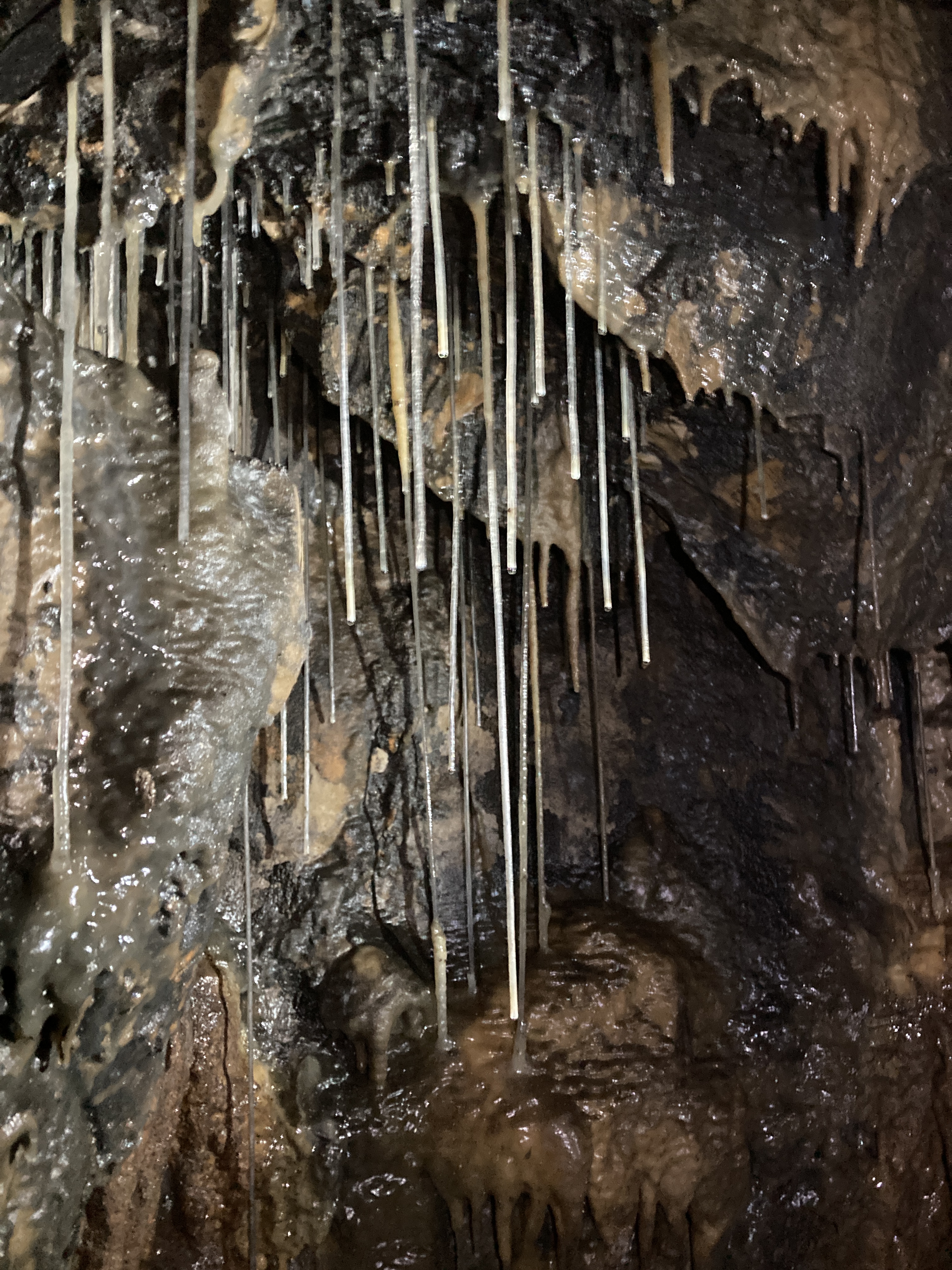 Peak District/Sheffield caving club in Cussey Pot